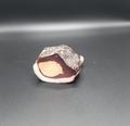 Magret de canard séché fourré au foie gras – 1/2, env. 170g